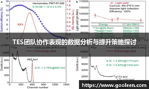 wm365完美体育官方网站